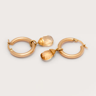 Citrine hoops