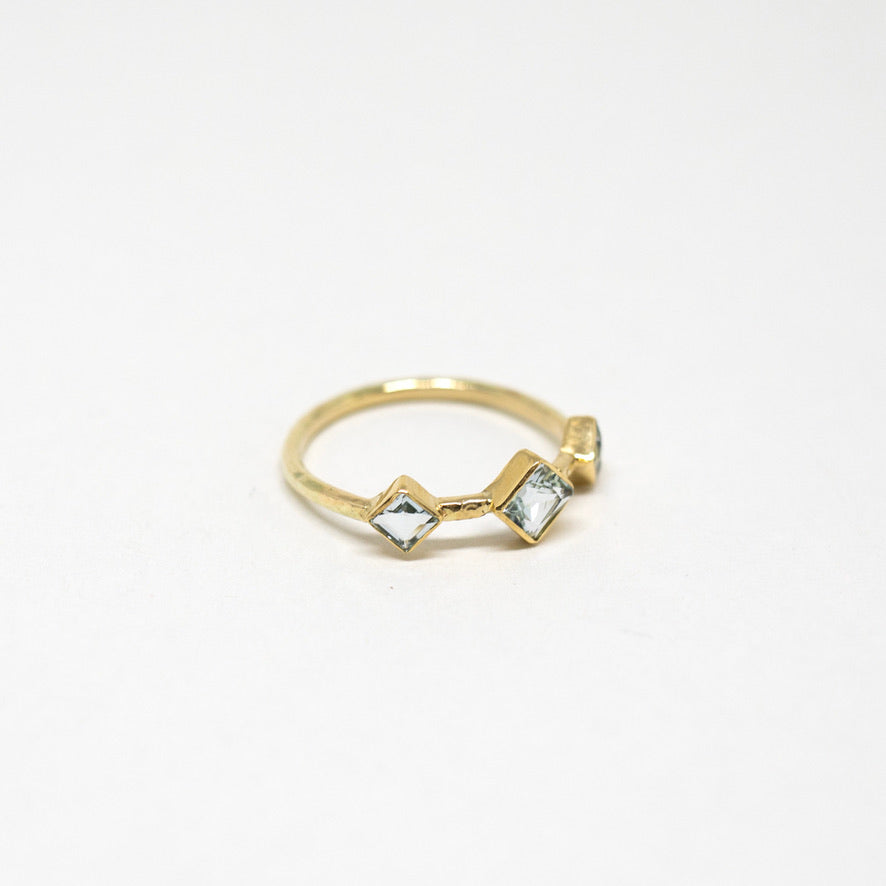 Morgan ring